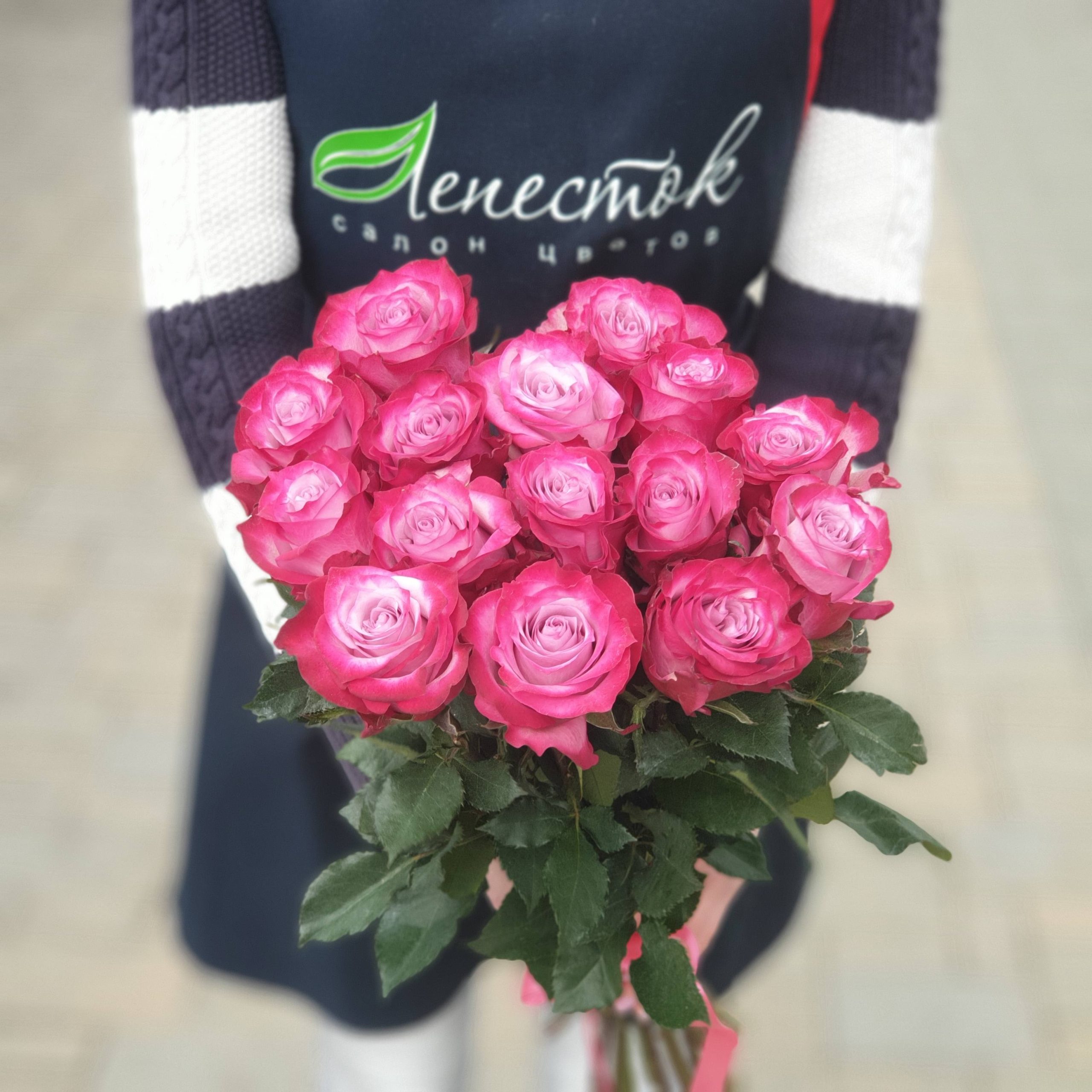 b5b188b3-2101-4722-84dd-39b37bb1d2bd